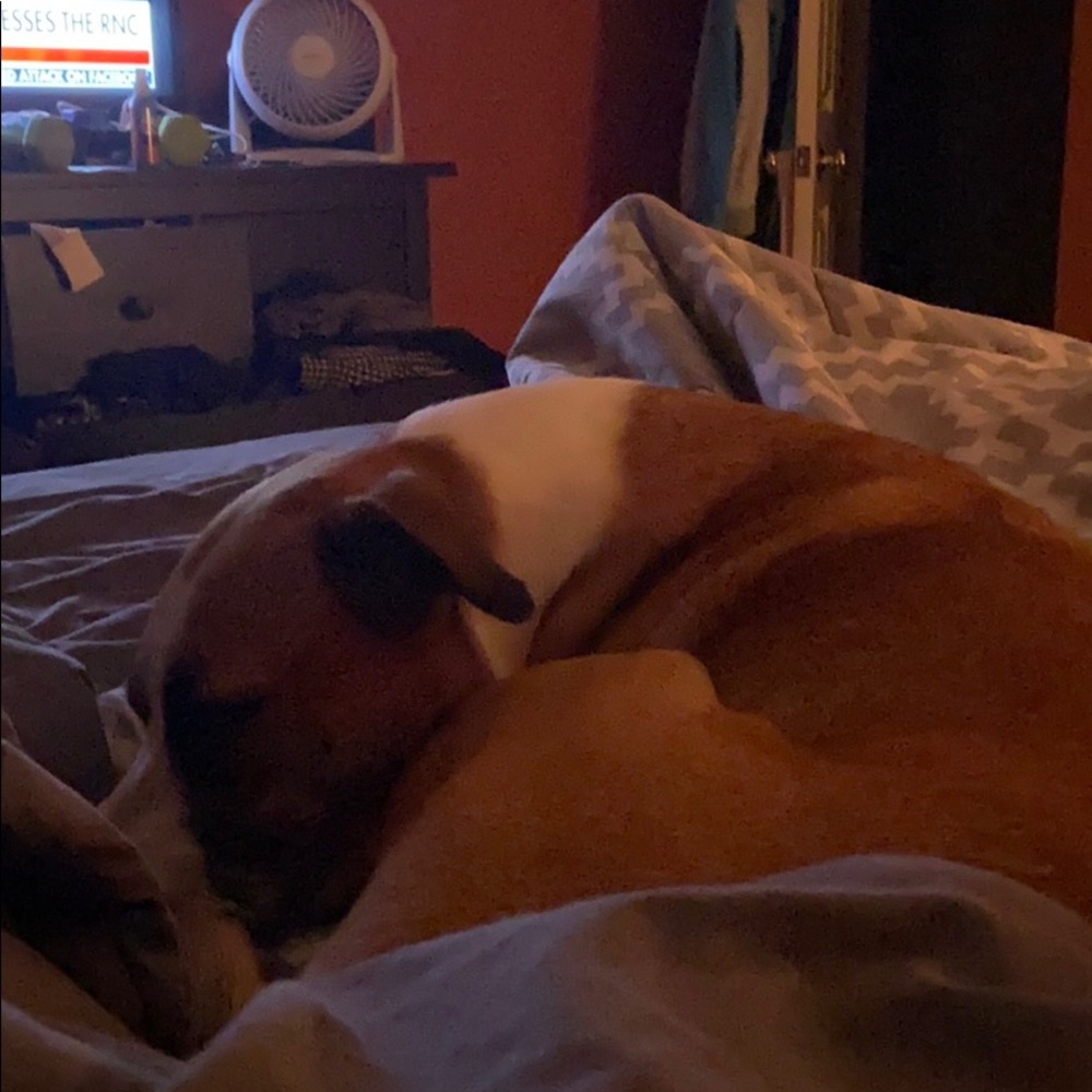 Meet your Posher, Sean